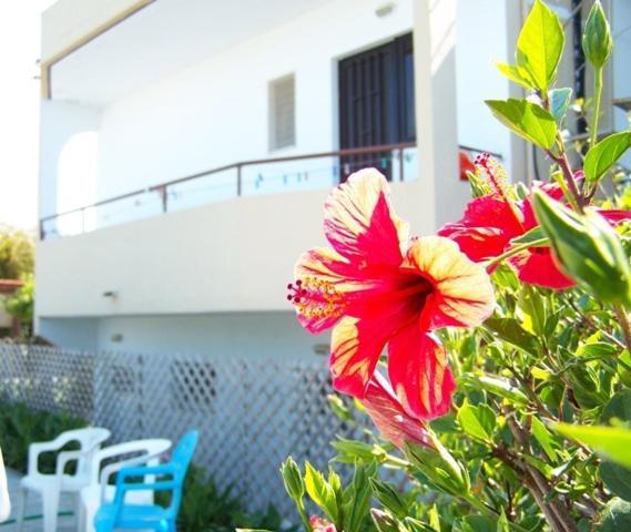 Evi Apartments And Studios Theológos Екстериор снимка