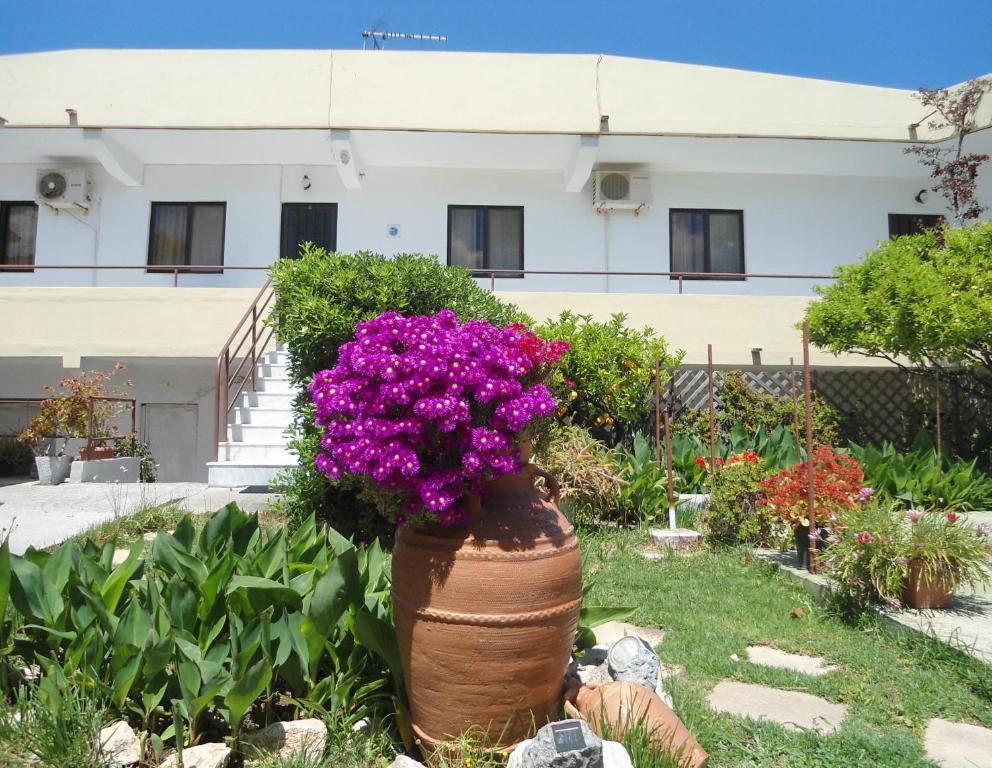 Evi Apartments And Studios Theológos Стая снимка