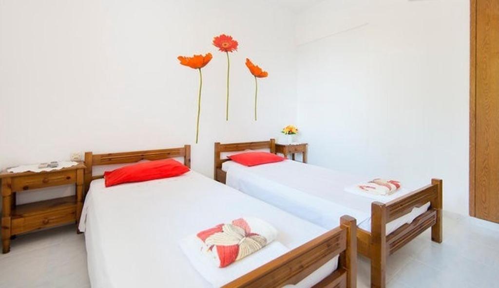 Evi Apartments And Studios Theológos Стая снимка
