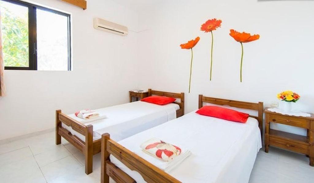 Evi Apartments And Studios Theológos Стая снимка